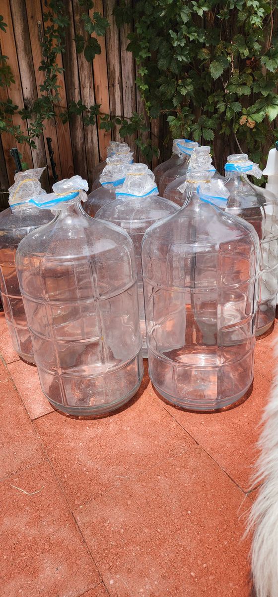 GLASS CARBOYS  6 GALLON