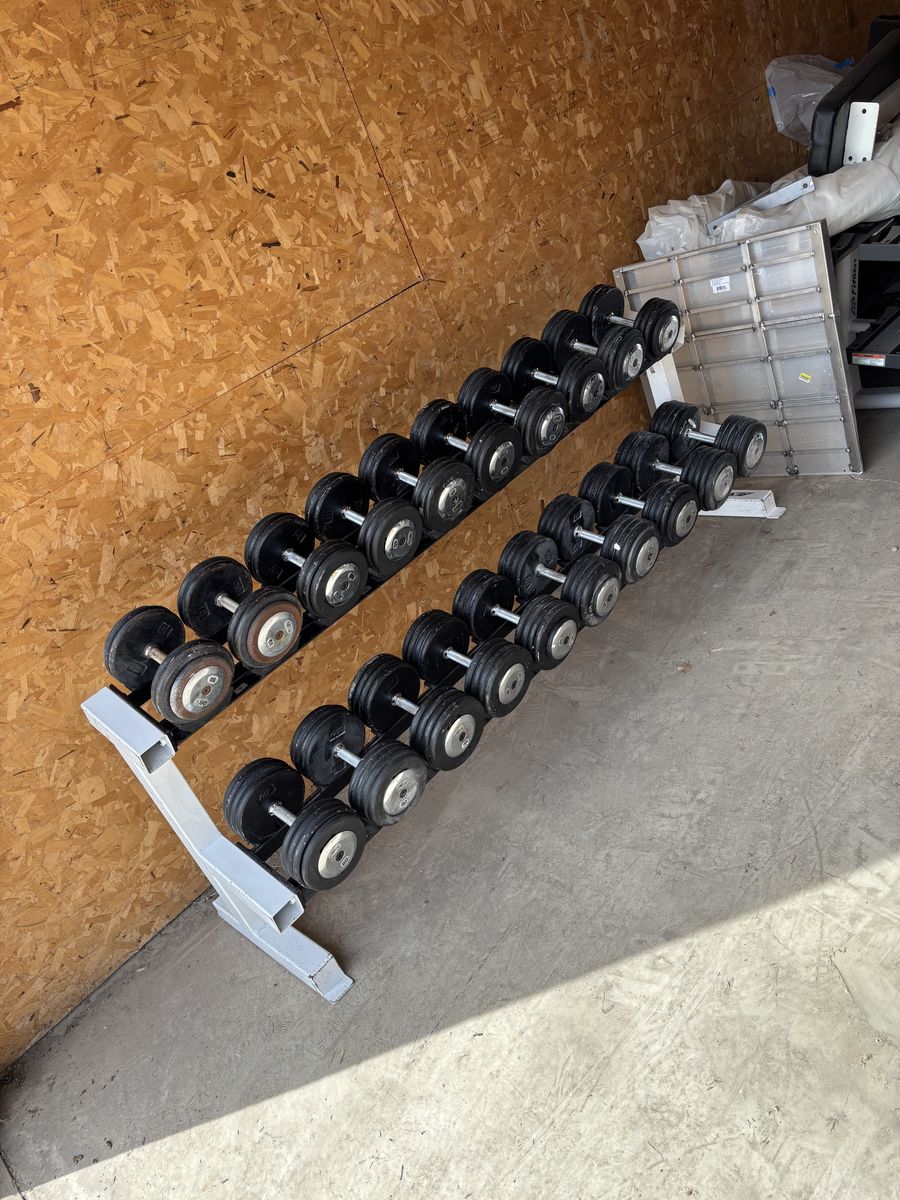 55-100 Commercial Dumbbell Set