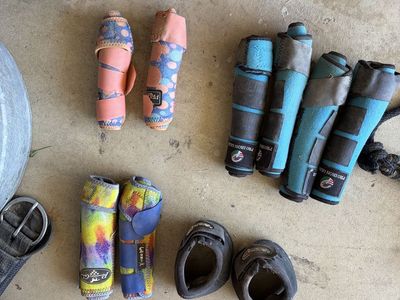 Horse sports medicine boots