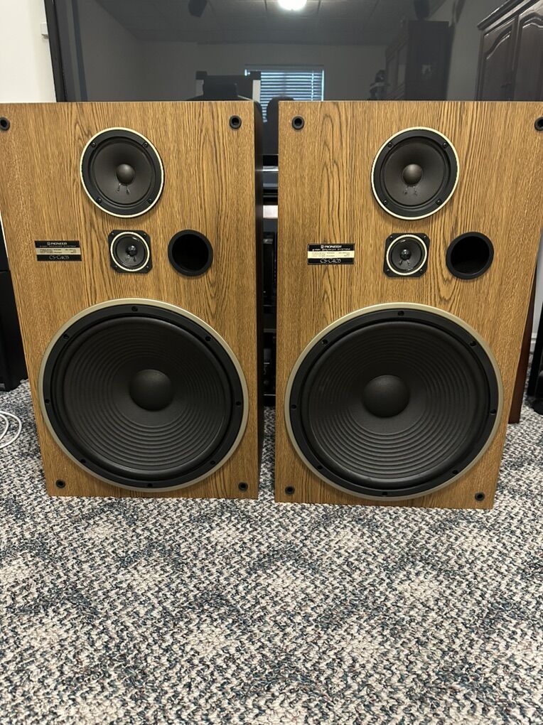 Pioneer CS-G403 Speakers