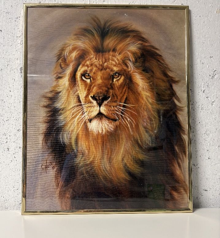 Glassed Frame Lion Photo