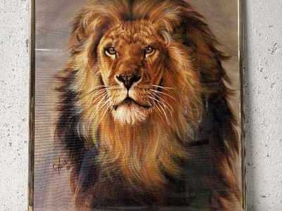 Glassed Frame Lion Photo