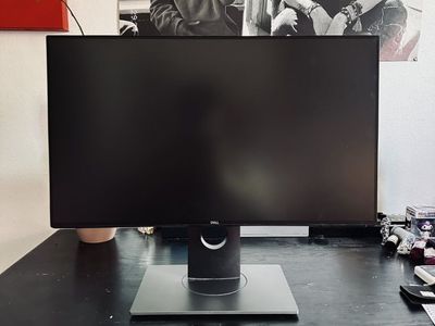Dell 20 in. Flat Panel Monitor