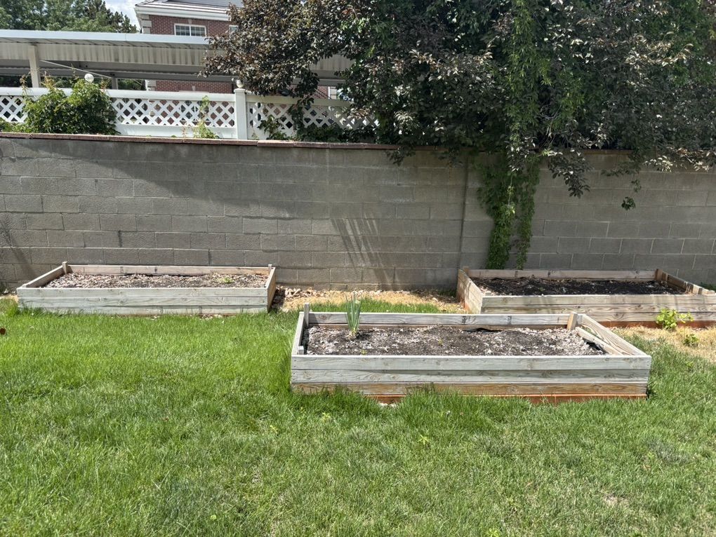 Garden Boxes With Organic Mulch