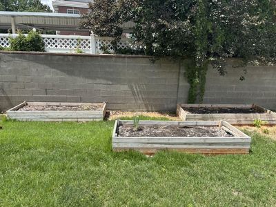 Garden Boxes With Organic Mulch