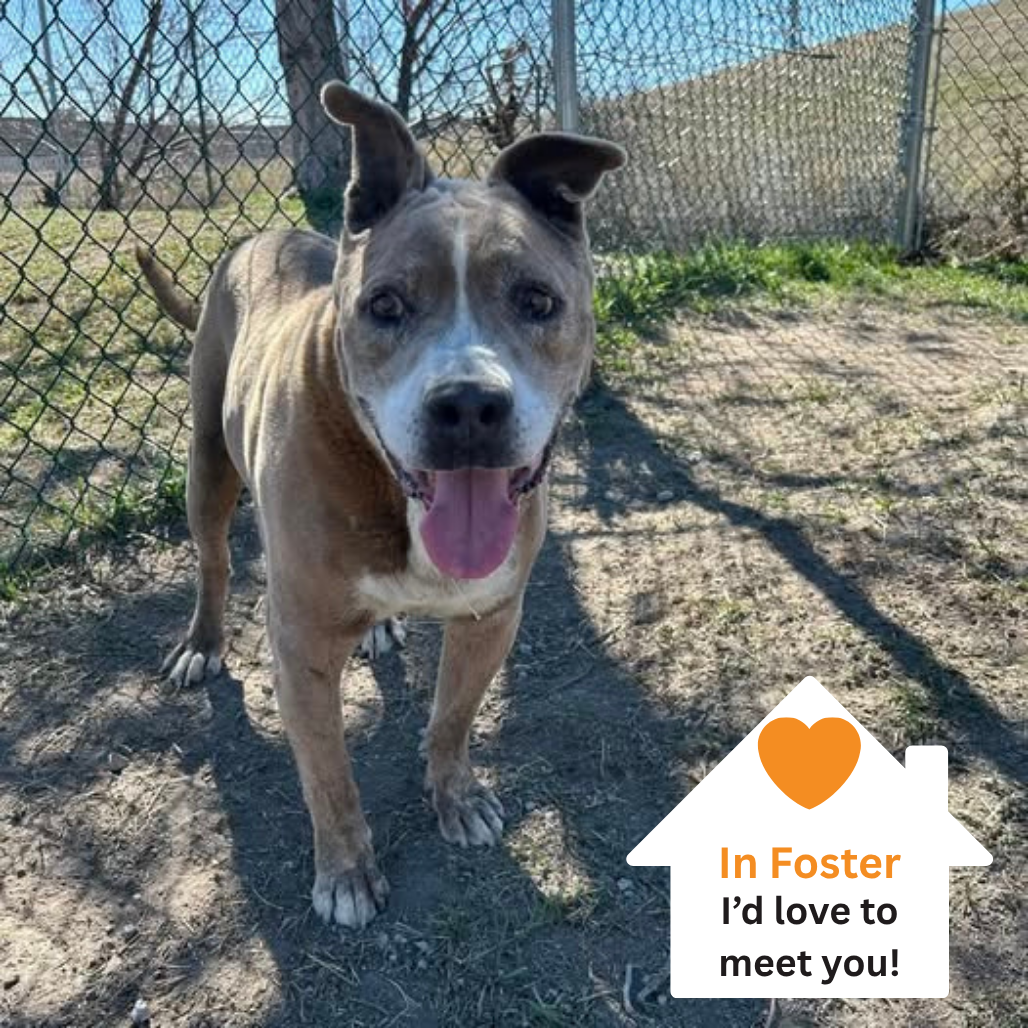 Hello my name is Albie