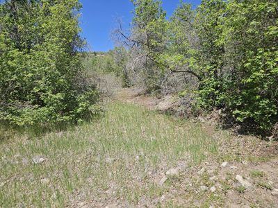 Cabin Lot For Sale