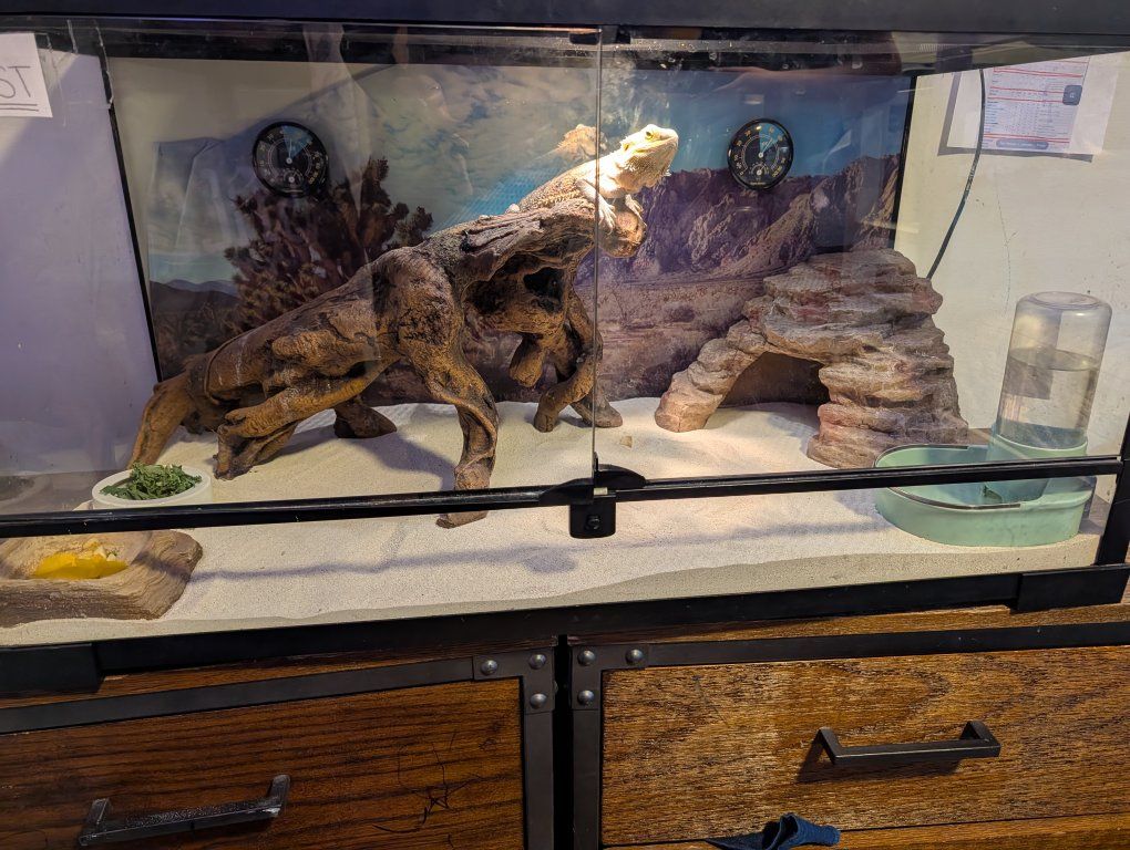 Main image 2