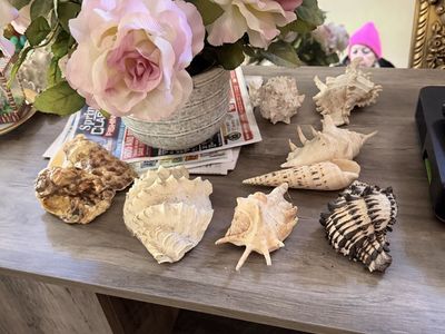 Estate sale