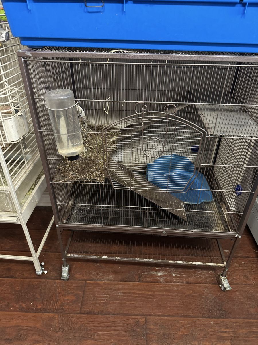 Large enclosure for small animals