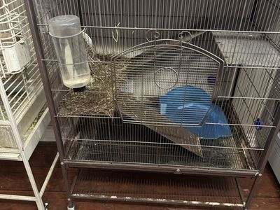 Large enclosure for small animals