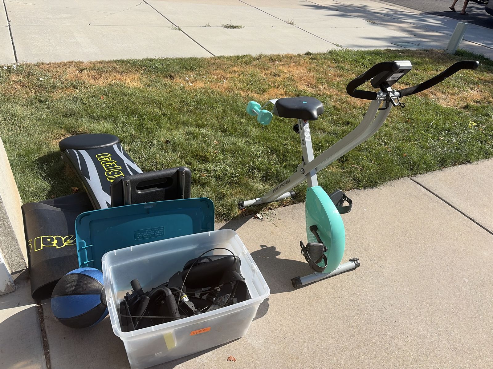 Home Gym Fitness Lot - Total Gym, ProForm Folding Exercise Bike, Medicine Ball & Accessories