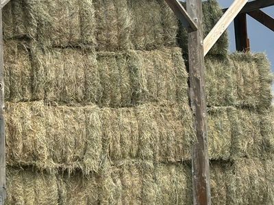 Grass alfalfa 3x3x8 bales
