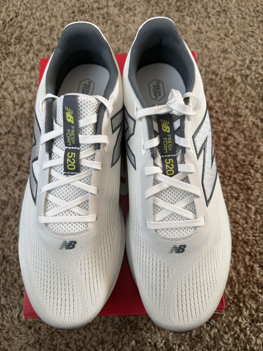 New Balance Fresh Foam 520 v9 Men's Running Shoes - Grey/Grey (Size 12) M5206DX