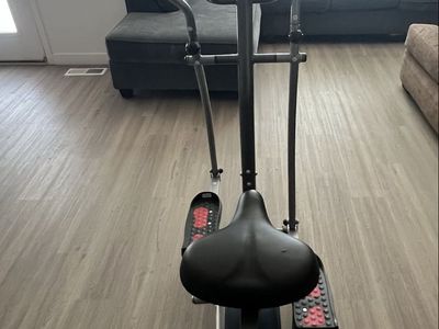 Dual Trainer
