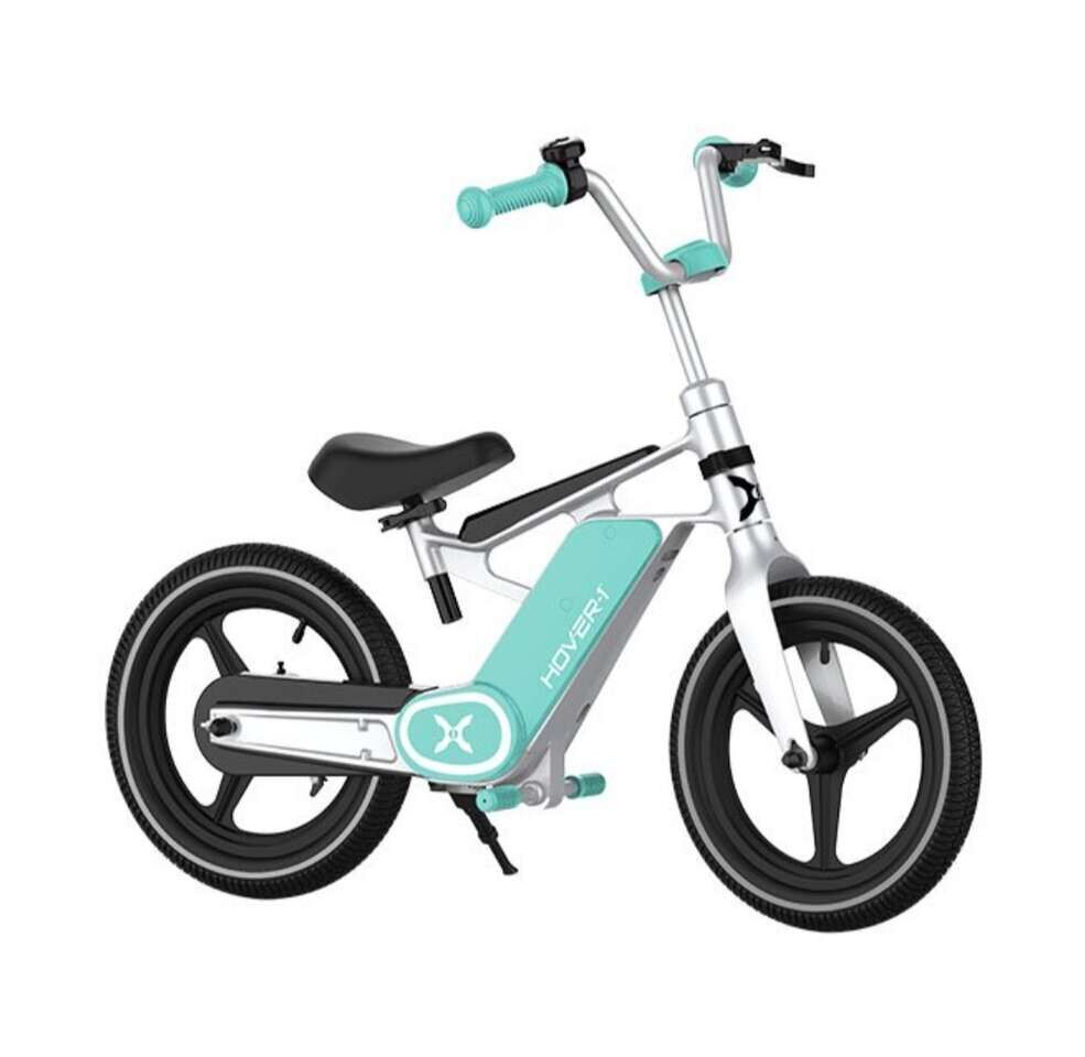 Electric Bike (NEW)