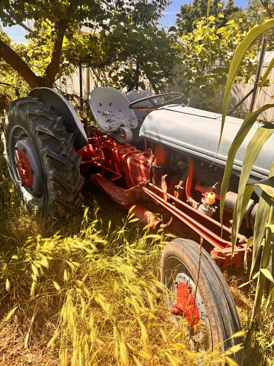 Main image 3