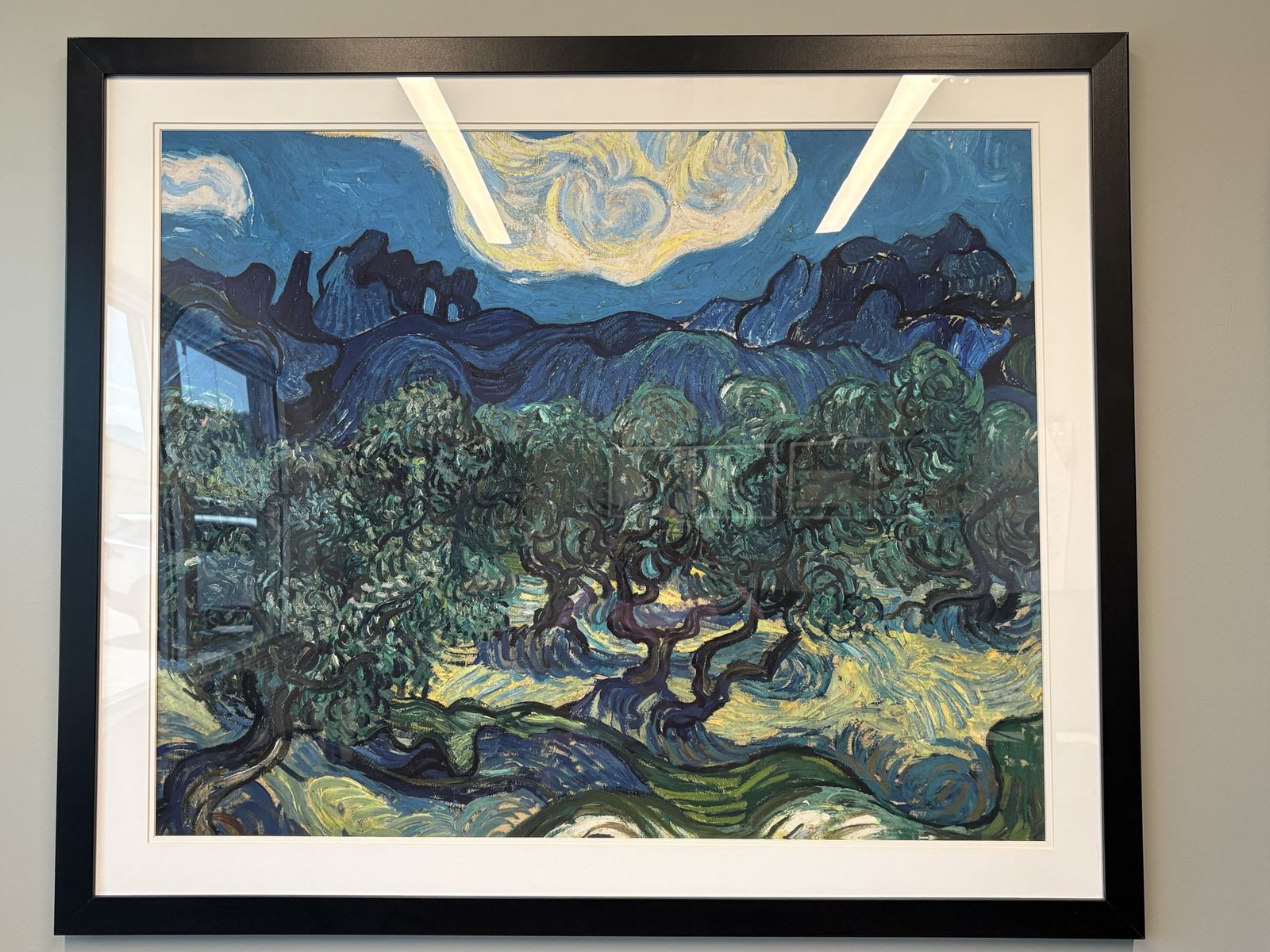 Framed Picture