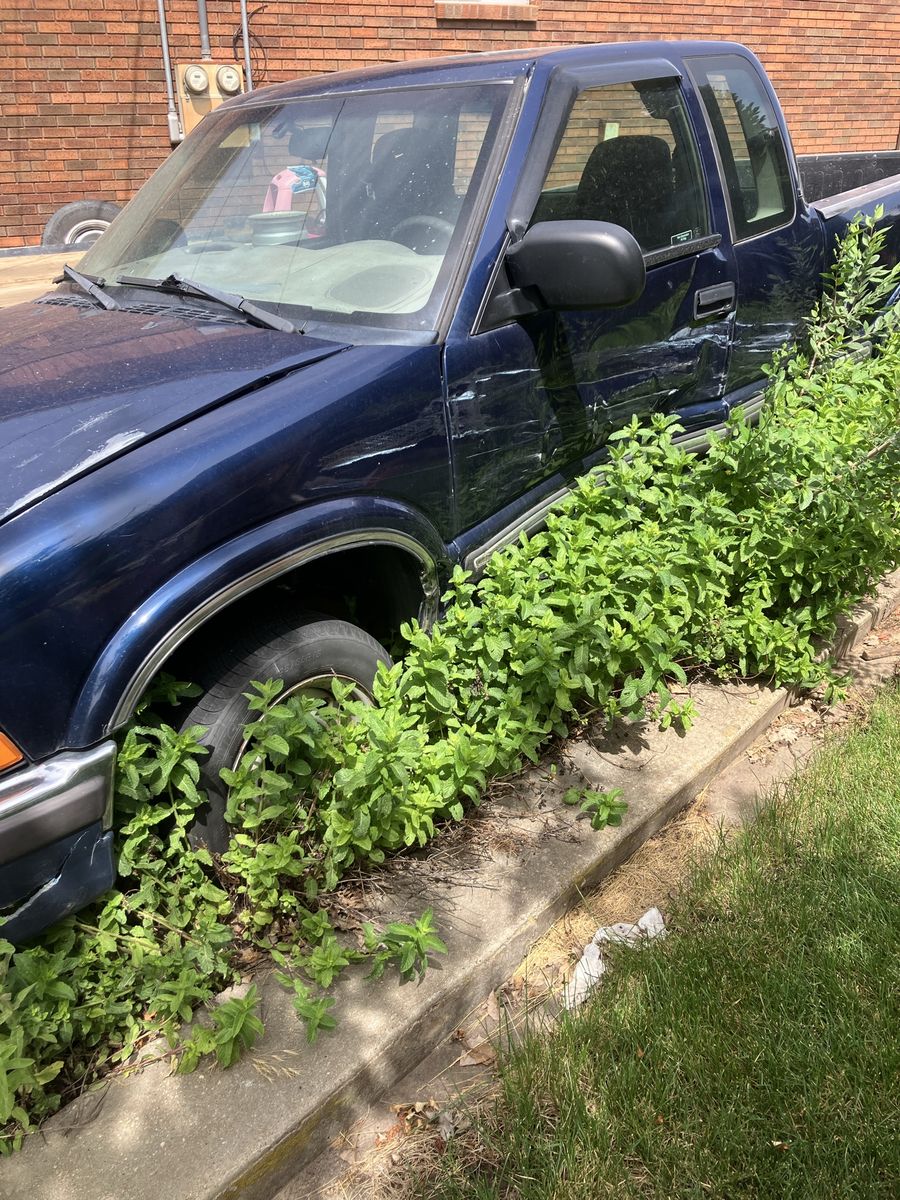1999 Chevy S10 2wd 2.2L Manual 5 speed