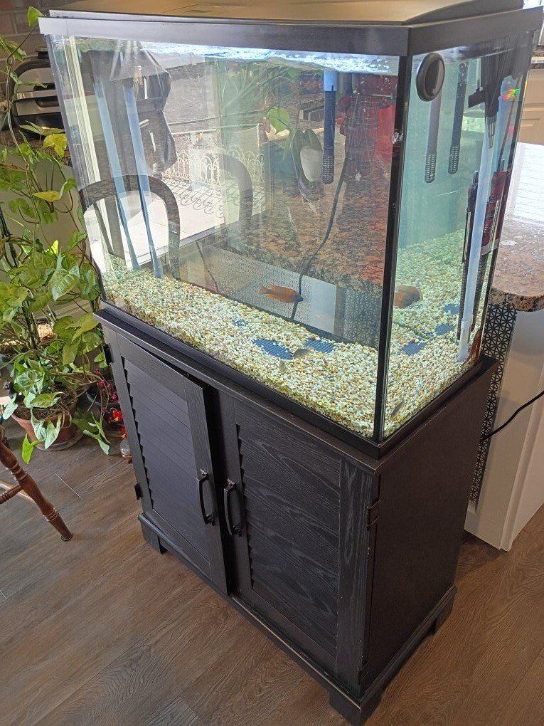 37 Gal Aquarium & Stand