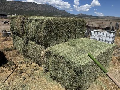 3x4 alfalfa