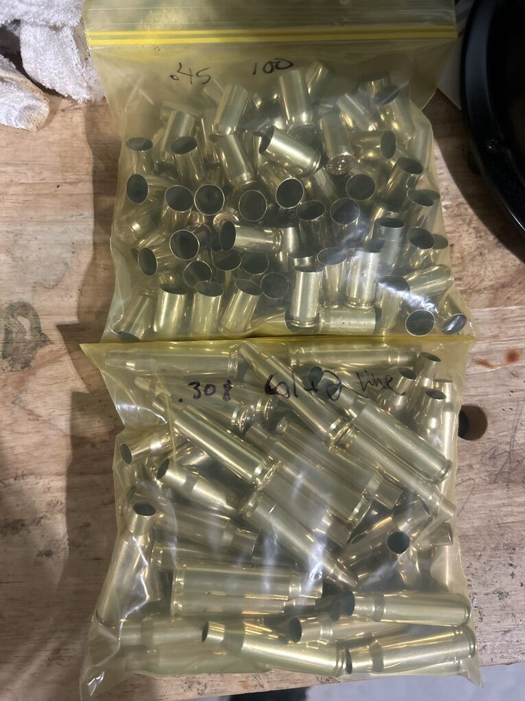 .45 And .308 Cleaned Brass
