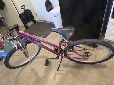 Bike and Trainer