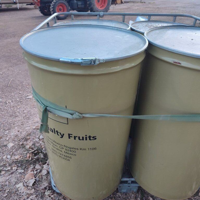 Wheat and seed for feed