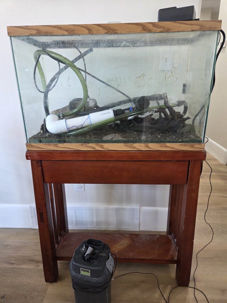 29 gallon Glass Aquarium Setup with Wooden Stand, Fluval Canister Filter, and Bayite Temperature Controller