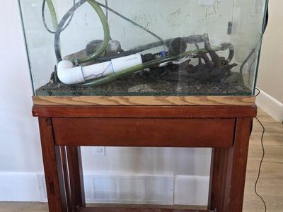 29 gallon Glass Aquarium Setup with Wooden Stand, Fluval Canister Filter, and Bayite Temperature Controller
