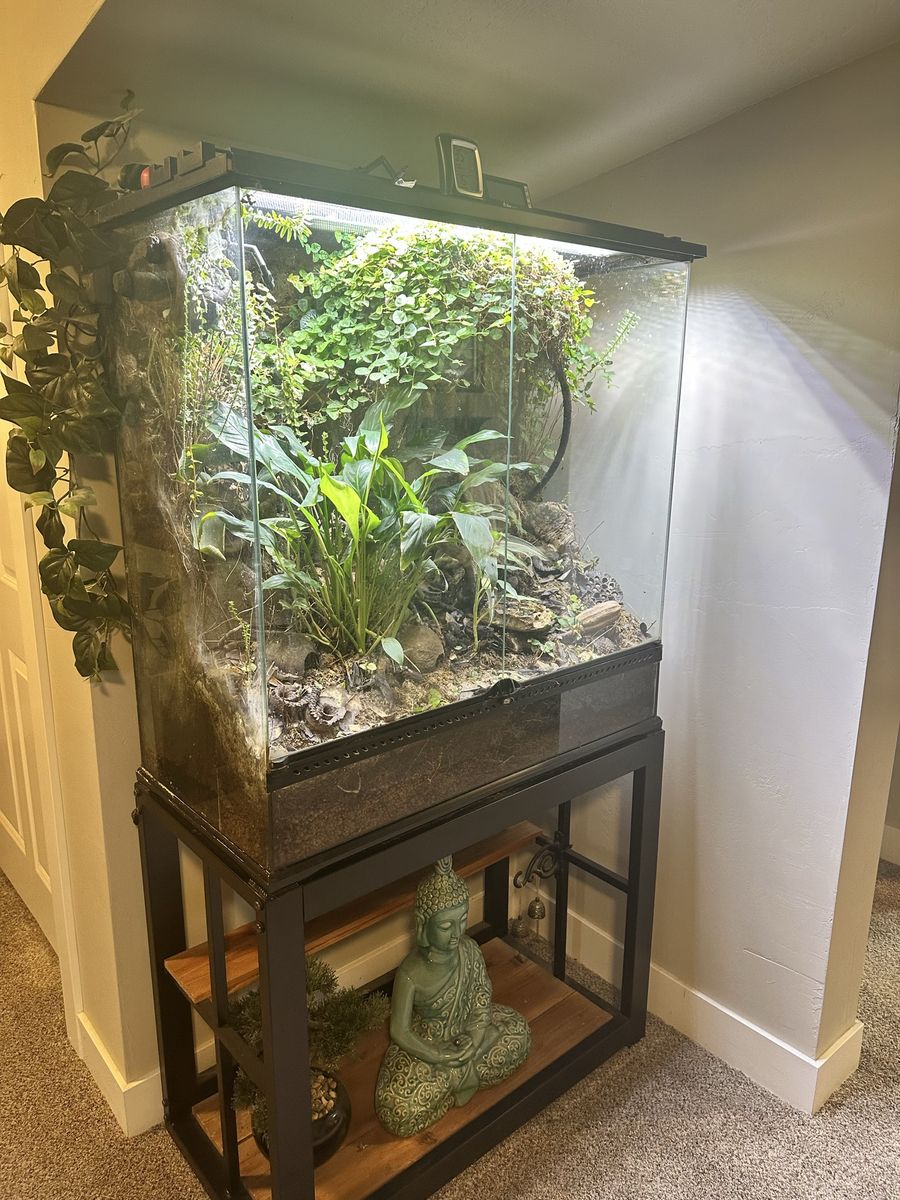 Terrarium 36x18x36 Bioactive