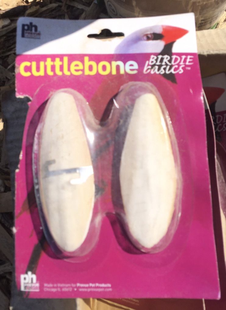 Cuttlefish Bones For Birds