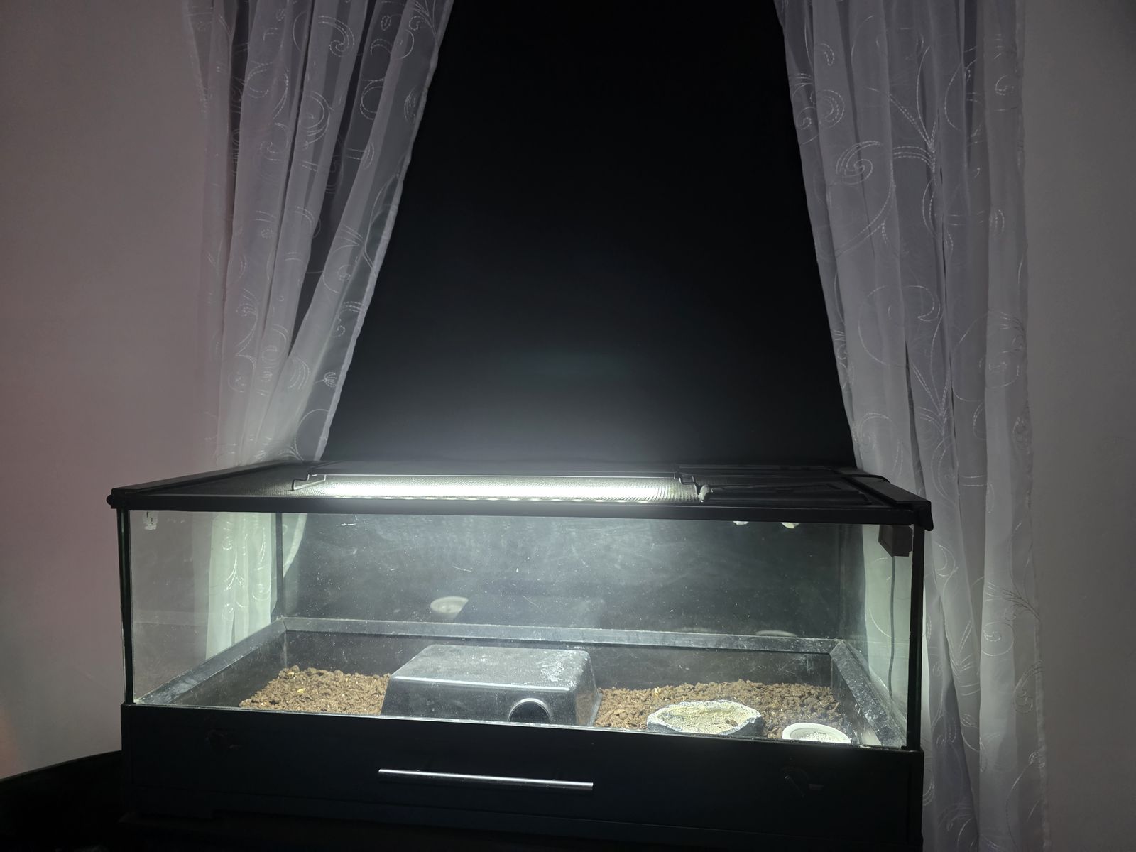 Main image 2