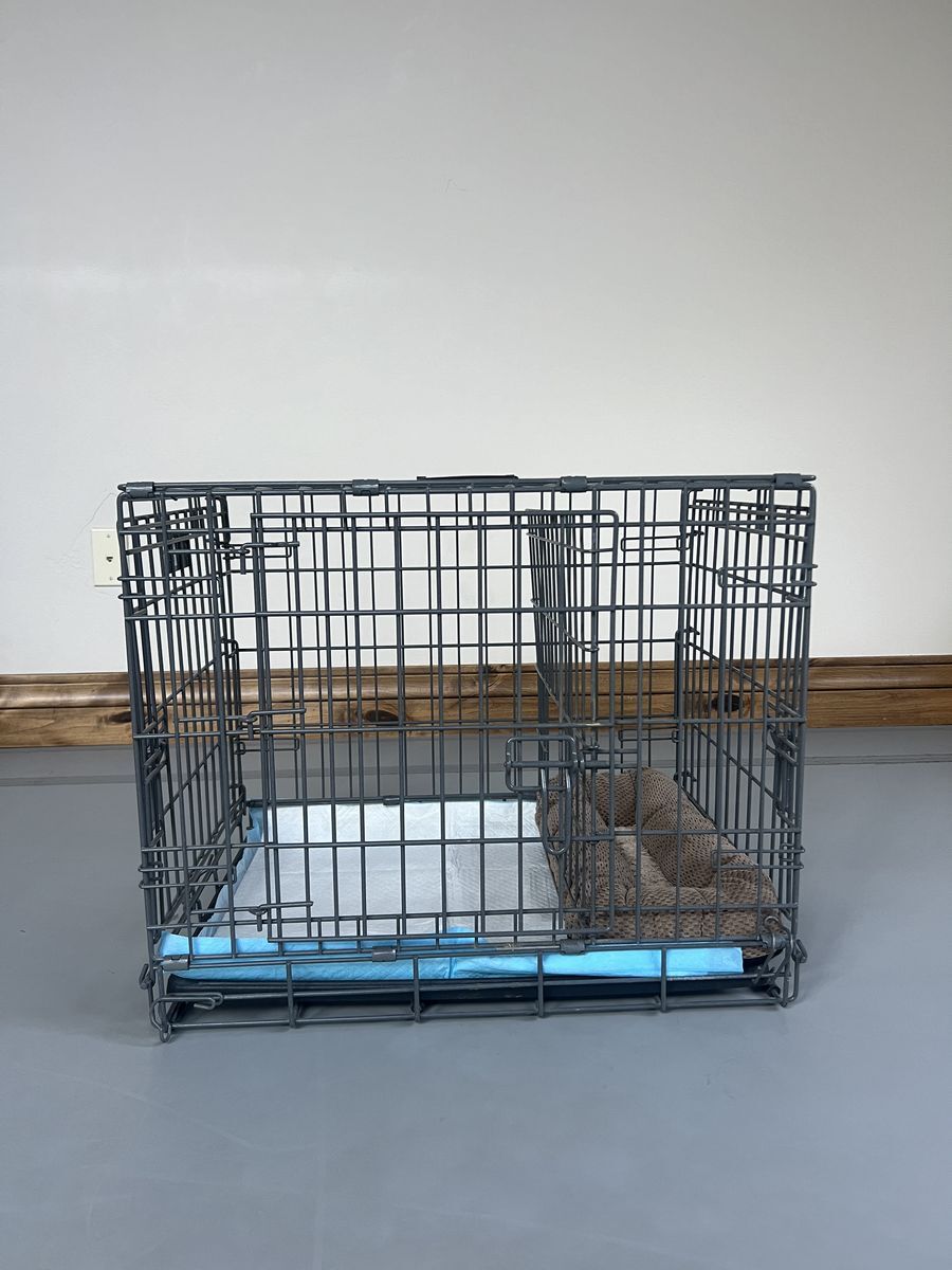 Puppy Apartment, Pet Training, Dog Training Kennel