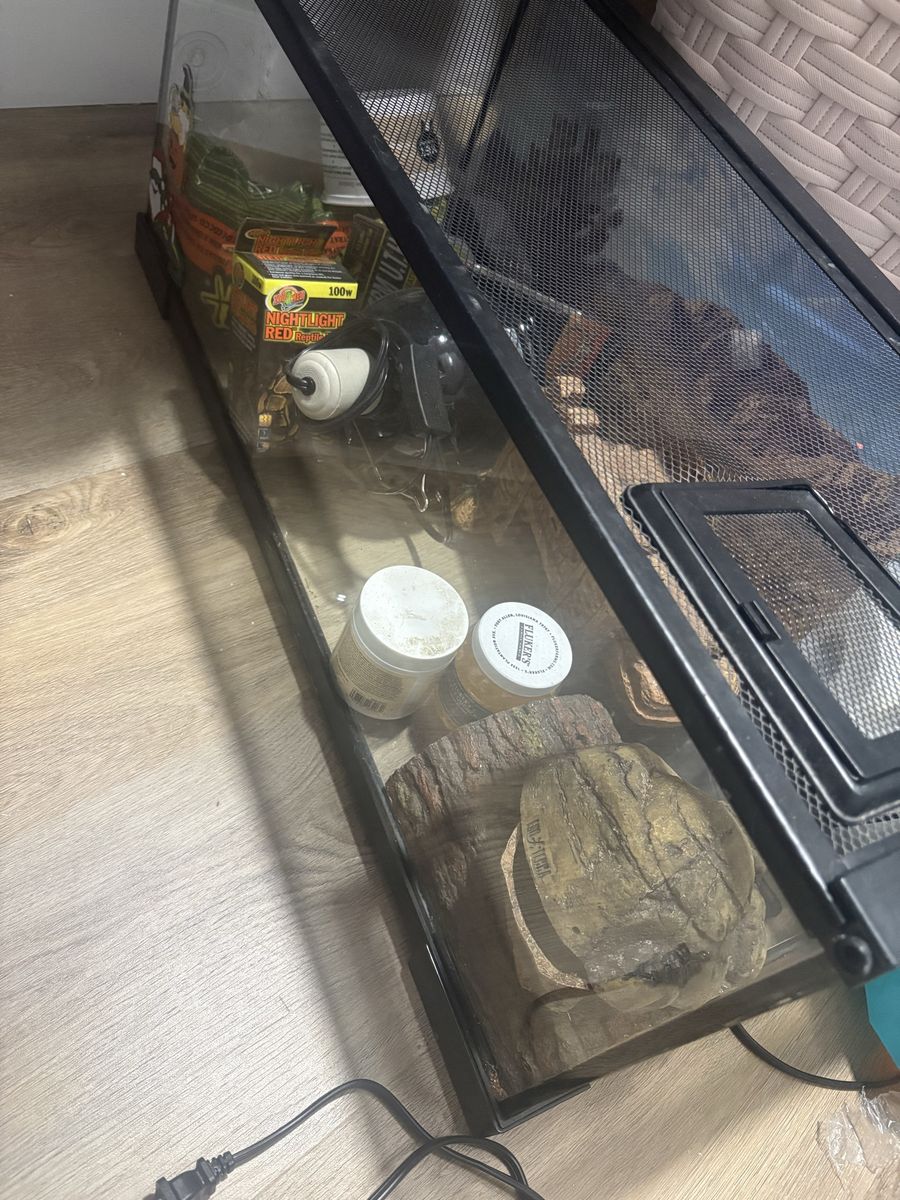 20 gallon tank with accessories