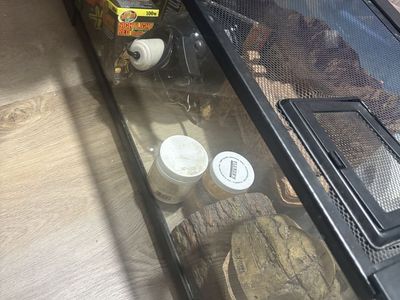 20 gallon tank with accessories