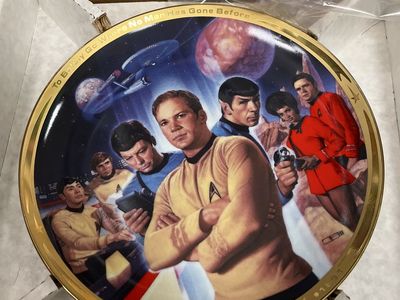 Star Trek Plate 1991