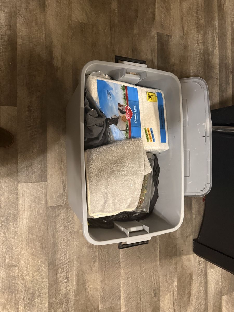 Bunny supplies