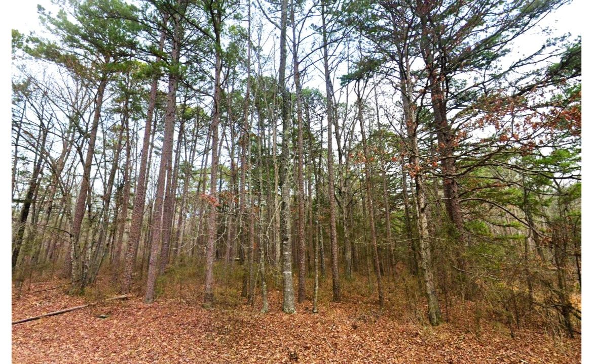 Main image 8