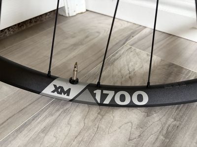DT Swiss XM1700 30mm 29 Boost wheelset