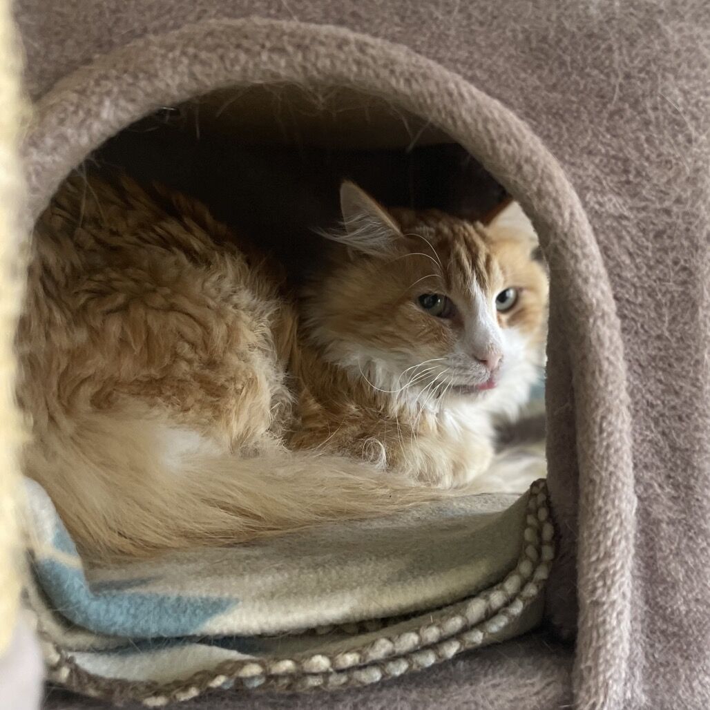 Hello my name is Routy