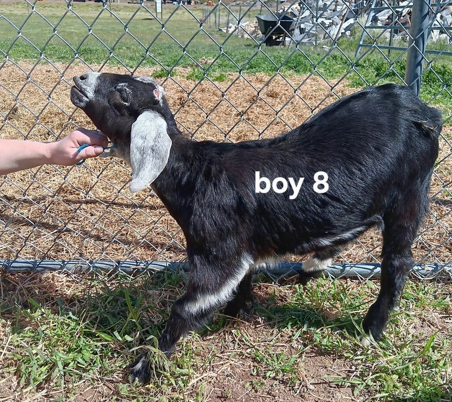 Main image 40