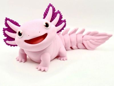 Pink articulating Axolotl Toy is a 3D printed.