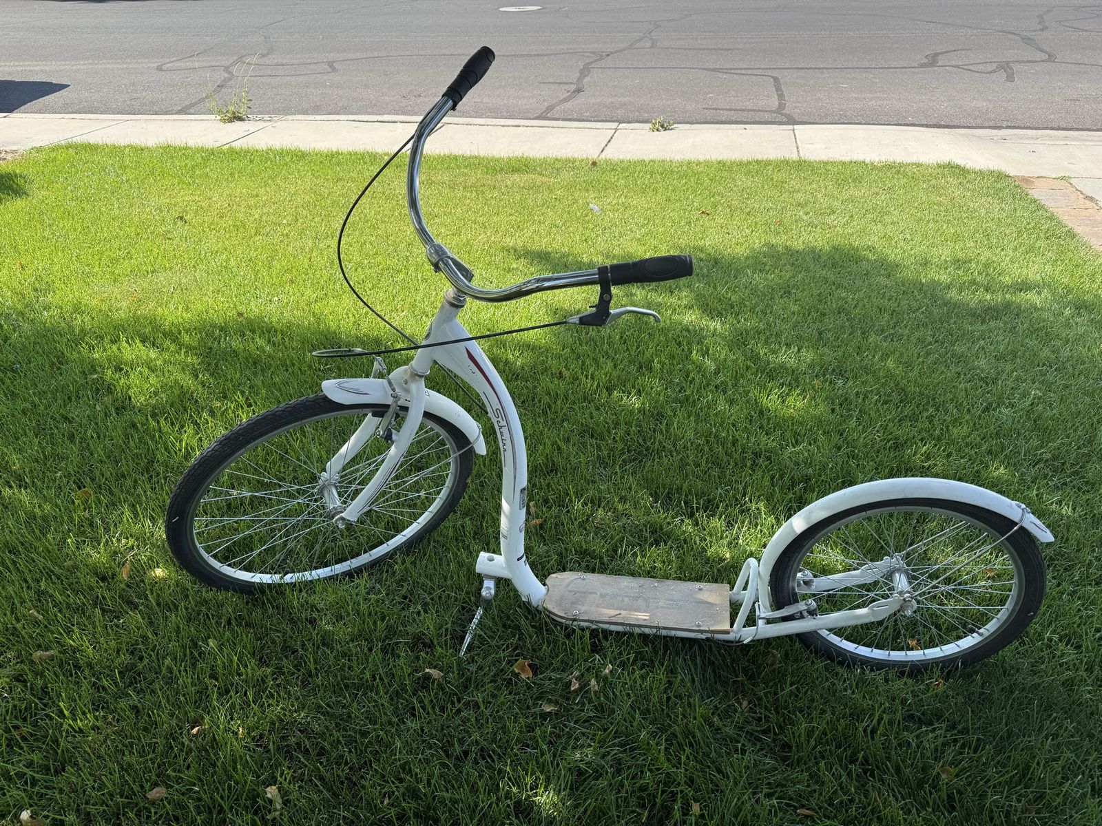 Schwinn adult scooter