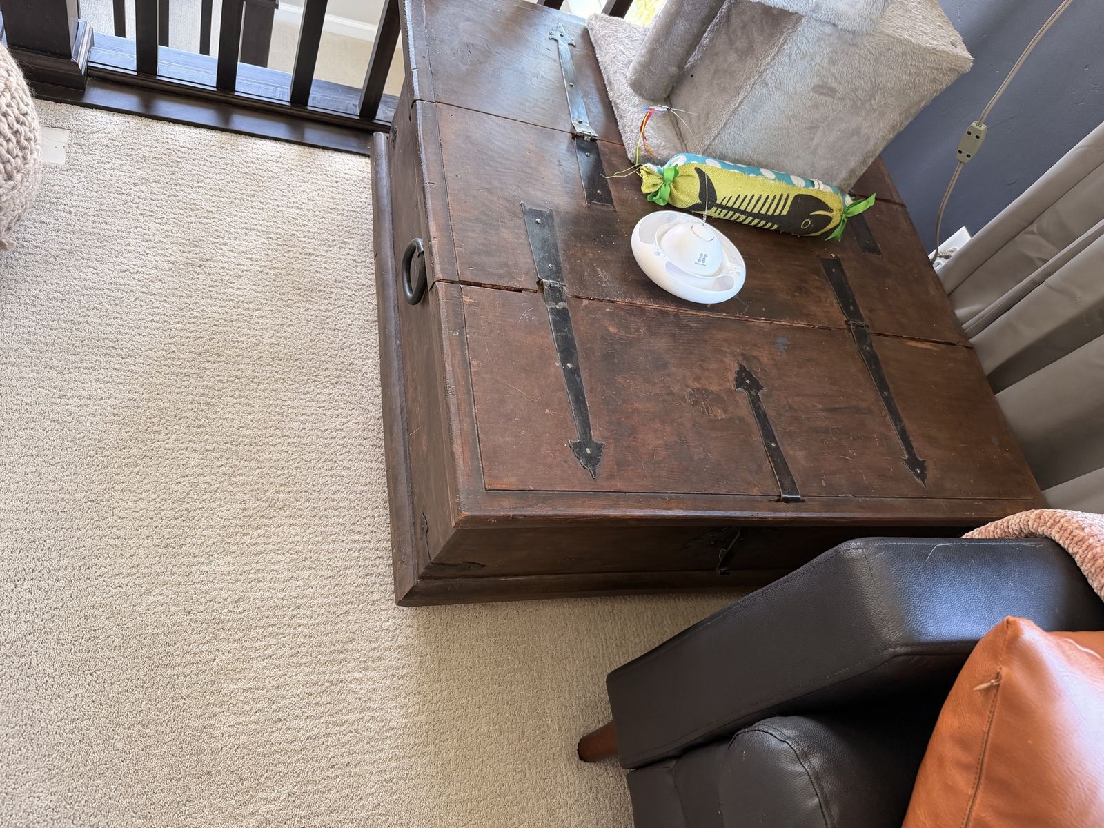 Hope chest / coffee table.