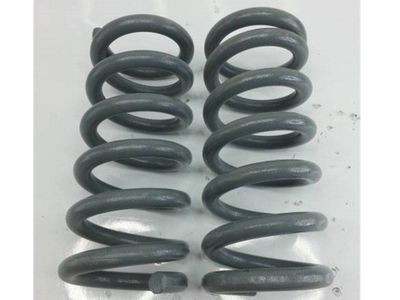 DJM coil spring 2 inch drop