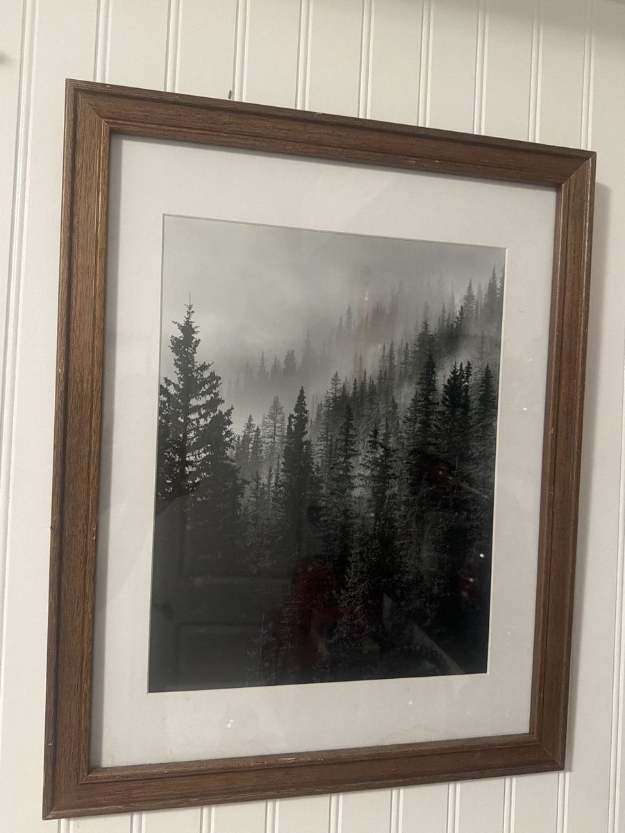 Framed Black and White Foggy Forest Pine Trees Print Wall Art