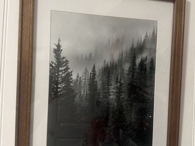 Framed Black and White Foggy Forest Pine Trees Print Wall Art