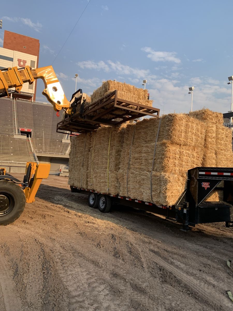 Wheat Straw (Non-Organic)