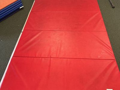 Swain mat pad mma, tumbling, gymnastics 5x10